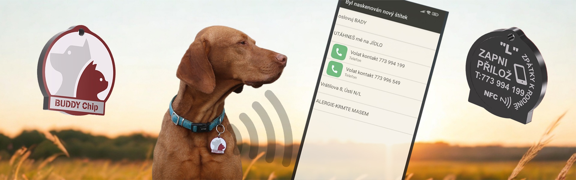 Banner BuddyChip
